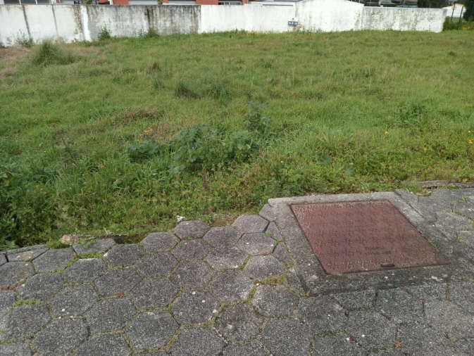 Terreno para Venda em Ílhavo (São Salvador) Foto 3