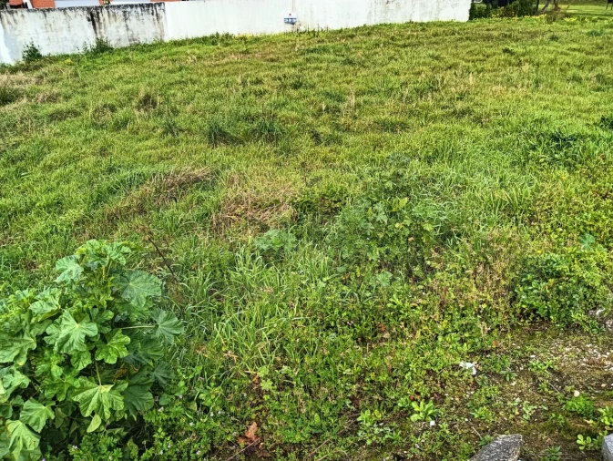 Terreno para Venda em Ílhavo (São Salvador) Foto 4