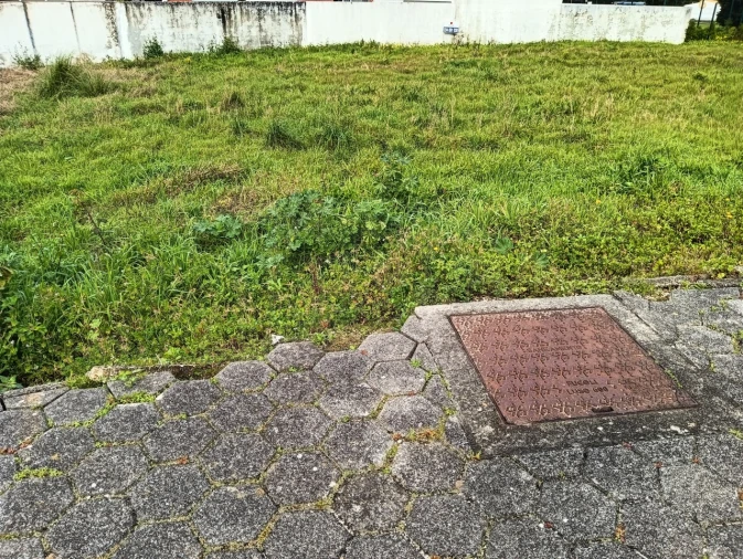 Terreno para Venda em Ílhavo (São Salvador) Foto 5