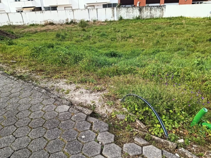 Terreno para Venda em Ílhavo (São Salvador) Foto 6