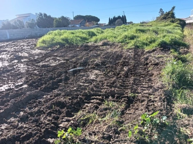 Terreno para Venda em Aradas Foto 2