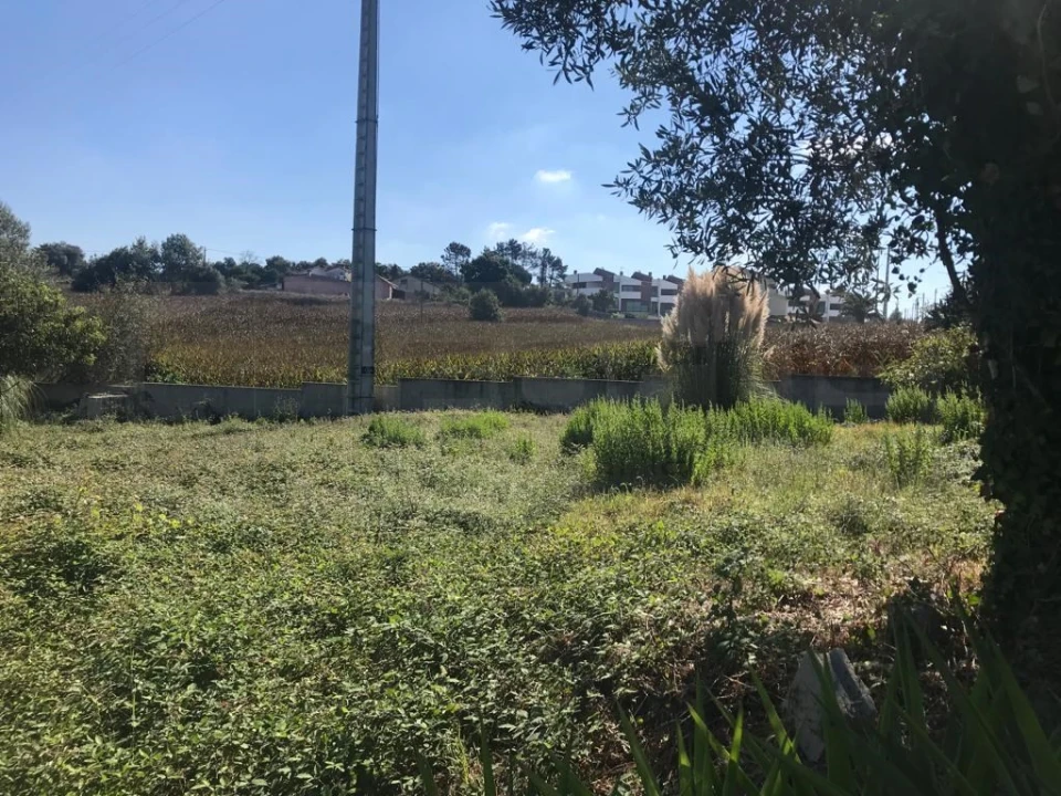 Terreno para Venda em Angeja Foto 3