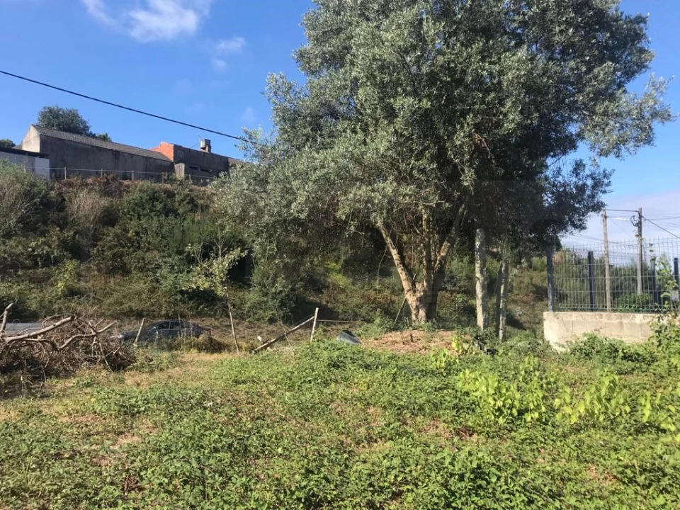 Terreno para Venda em Angeja Foto 4