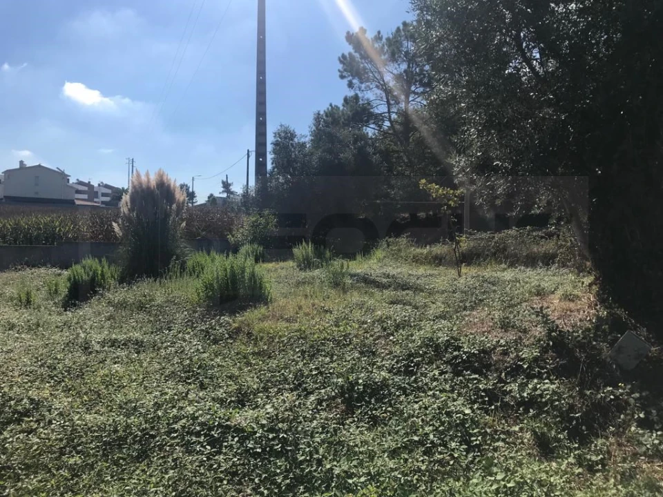 Terreno para Venda em Angeja Foto 5