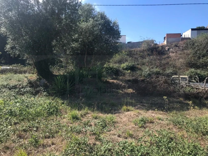 Terreno para Venda em Angeja Foto 1