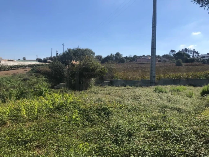 Terreno para Venda em Angeja Foto 2