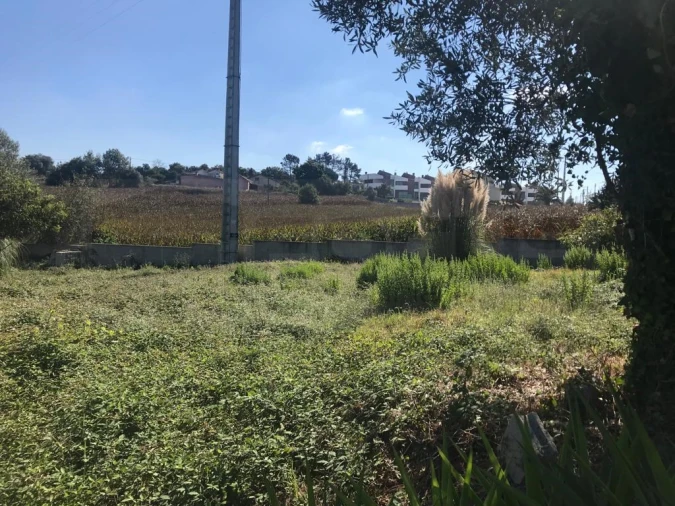 Terreno para Venda em Angeja Foto 3