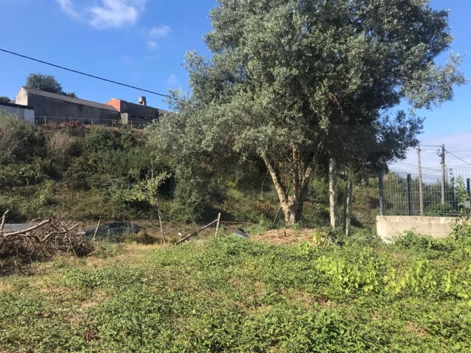 Terreno para Venda em Angeja Foto 4