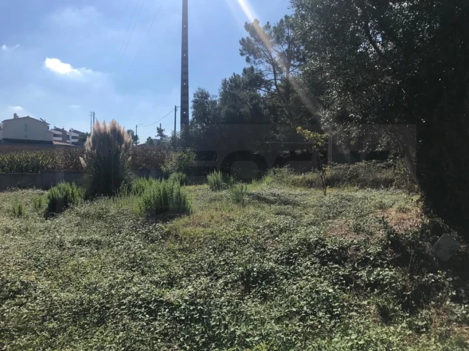 Terreno para Venda em Angeja Foto 5