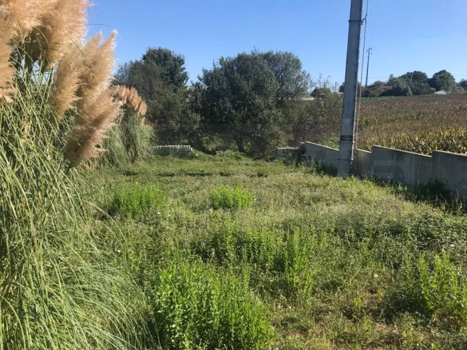 Terreno para Venda em Angeja Foto 6
