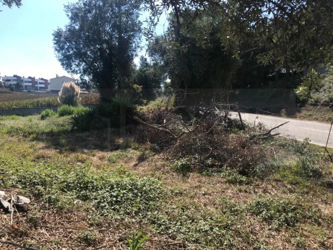 Terreno para Venda em Angeja Foto 7