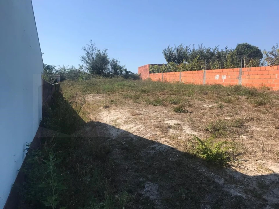 Terreno para Venda em Cacia Foto 3