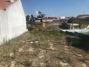 Terreno para Venda em Cacia