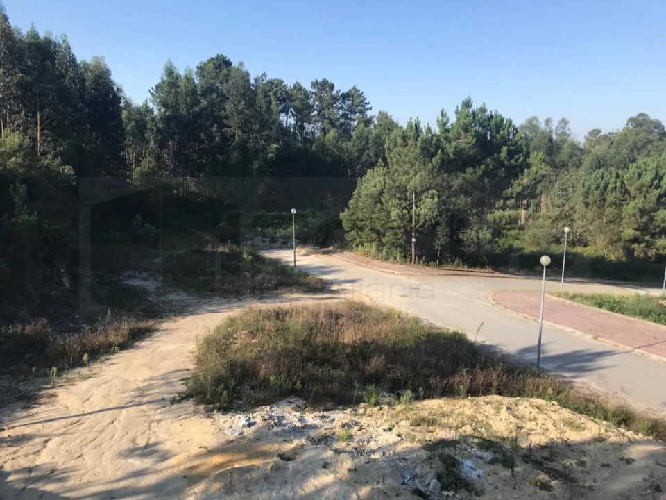 Terreno para Venda em O. Azeméis, Riba-Ul, Ul, Macinhata Seixa, Madail Foto 5