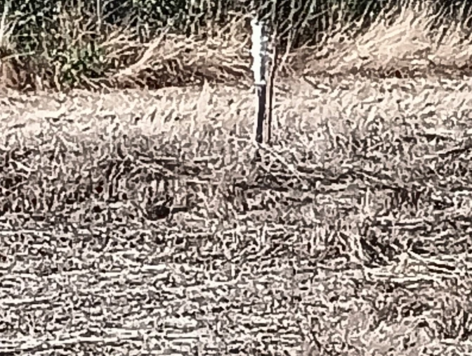 Terreno para Venda em Gafanha da Encarnação