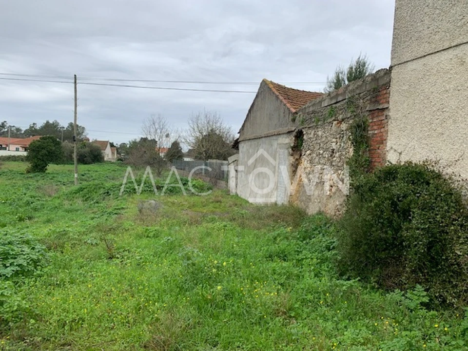 Terreno para Venda em Brogueira, Parceiros de Igreja e Alcorochel Foto 7