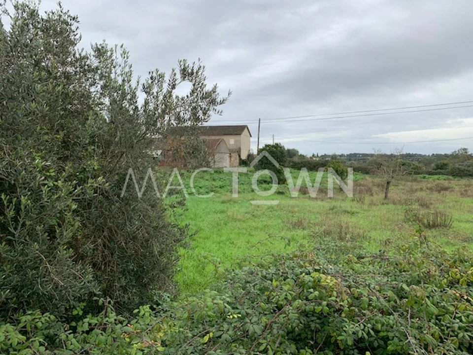 Terreno para Venda em Brogueira, Parceiros de Igreja e Alcorochel Foto 13