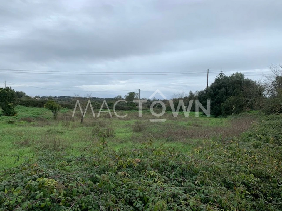 Terreno para Venda em Brogueira, Parceiros de Igreja e Alcorochel Foto 14