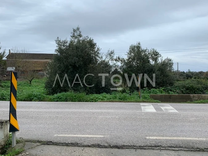 Terreno para Venda em Brogueira, Parceiros de Igreja e Alcorochel Foto 3