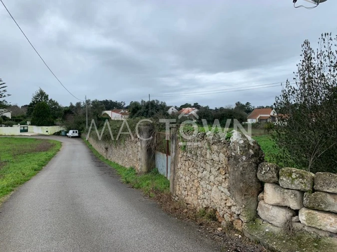 Terreno para Venda em Brogueira, Parceiros de Igreja e Alcorochel Foto 6
