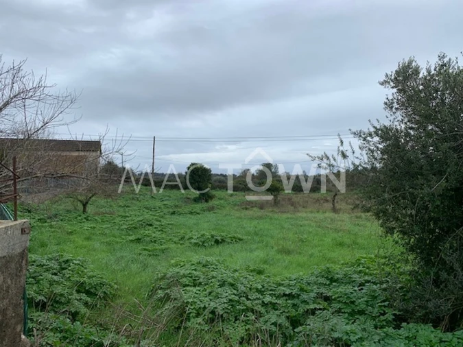 Terreno para Venda em Brogueira, Parceiros de Igreja e Alcorochel Foto 15