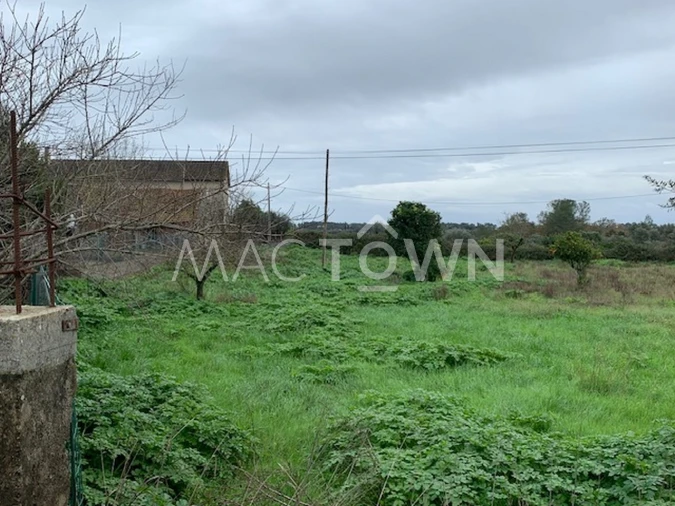 Terreno para Venda em Brogueira, Parceiros de Igreja e Alcorochel Foto 17