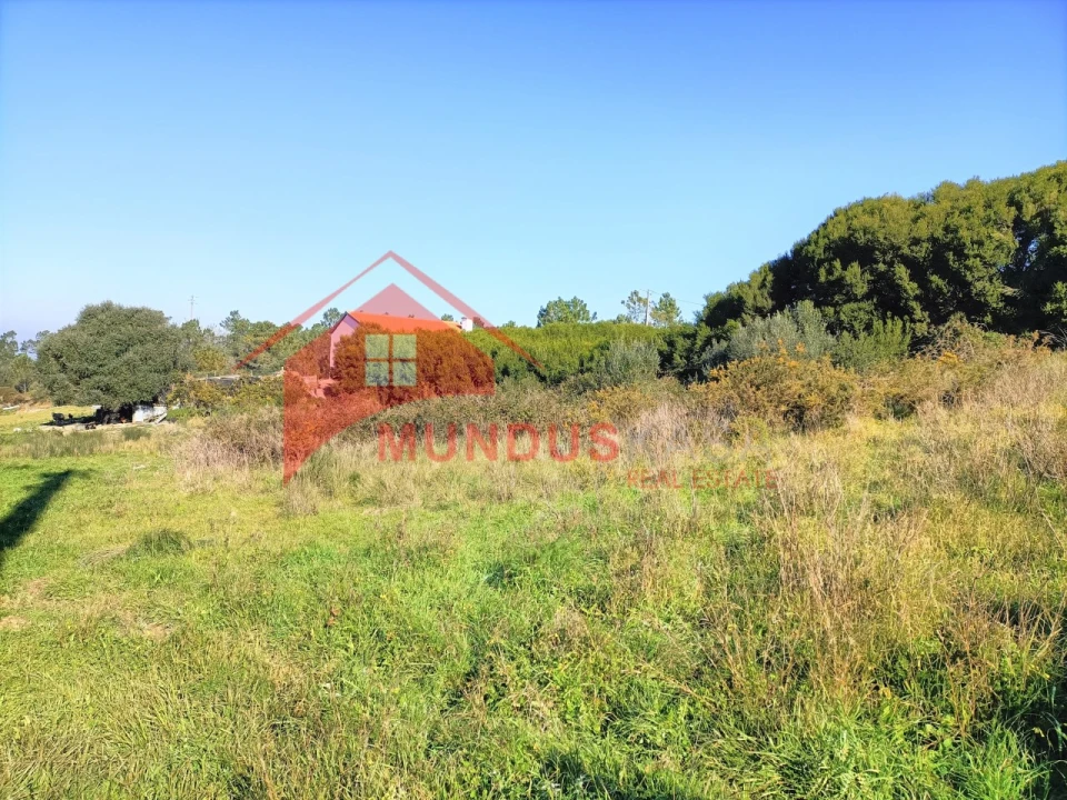 Terreno para Venda em Sesimbra (Castelo) Foto 9
