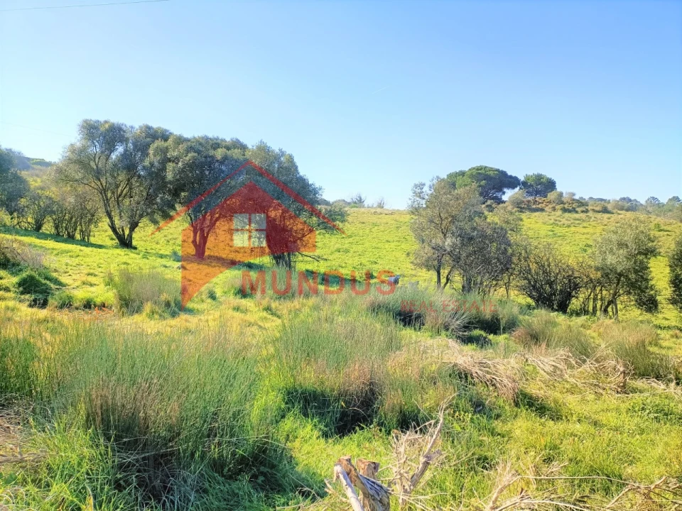 Terreno para Venda em Sesimbra (Castelo) Foto 13