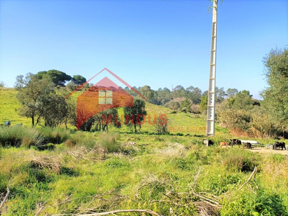 Terreno para Venda em Sesimbra (Castelo) Foto 14