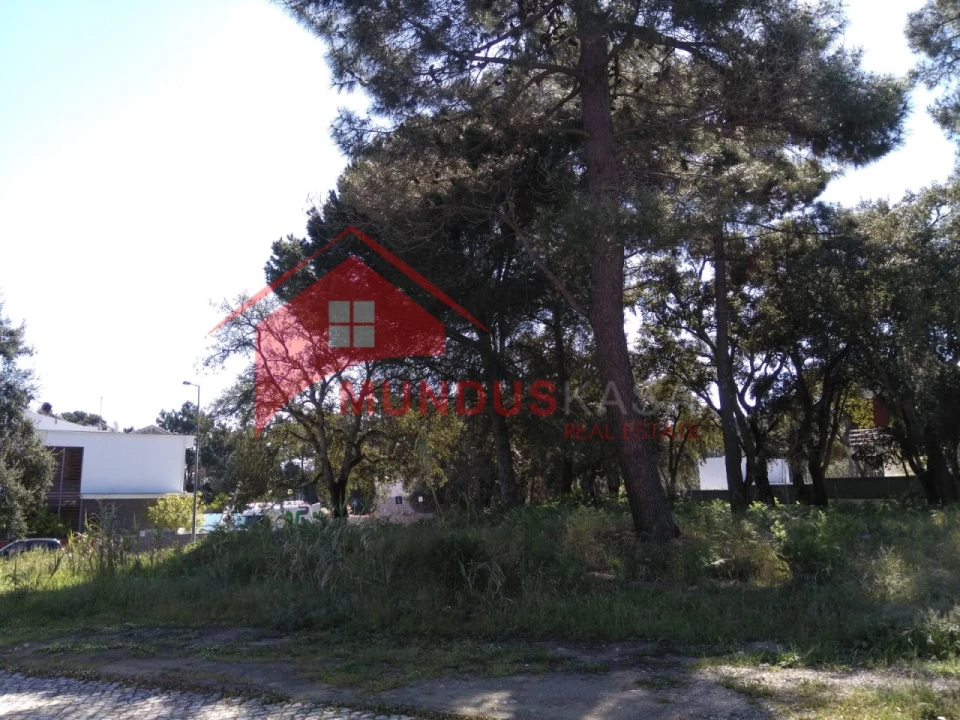 Terreno para Venda em Sesimbra (Castelo) Foto 16