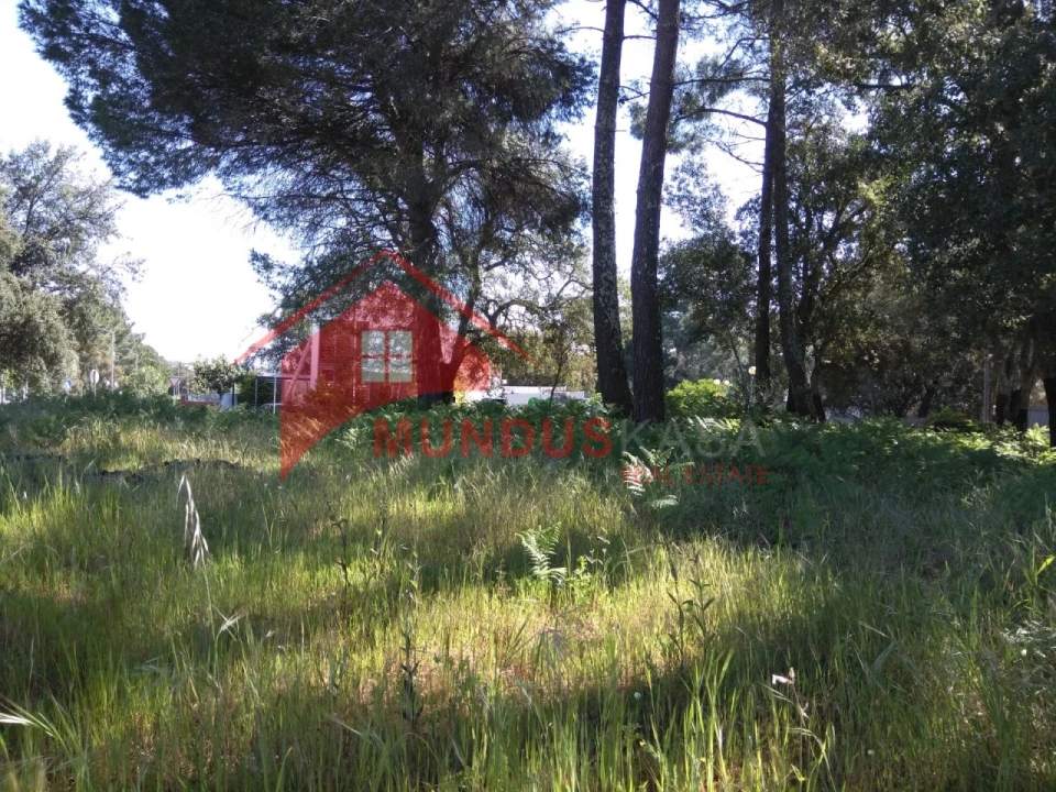 Terreno para Venda em Sesimbra (Castelo) Foto 17