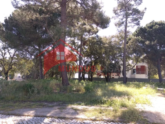 Terreno para Venda em Sesimbra (Castelo) Foto 13