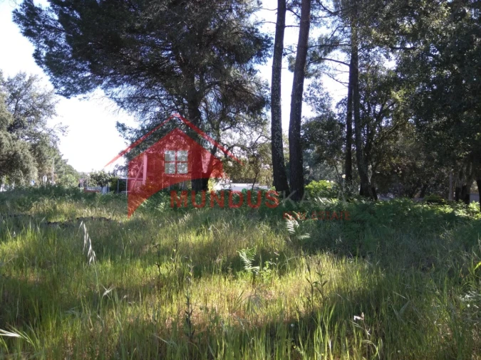 Terreno para Venda em Sesimbra (Castelo) Foto 18