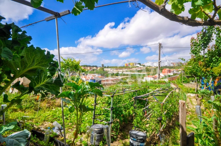 Terreno para Venda em Marvila Foto 6