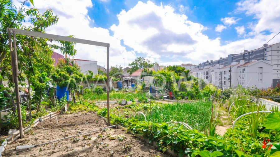 Terreno para Venda em Marvila