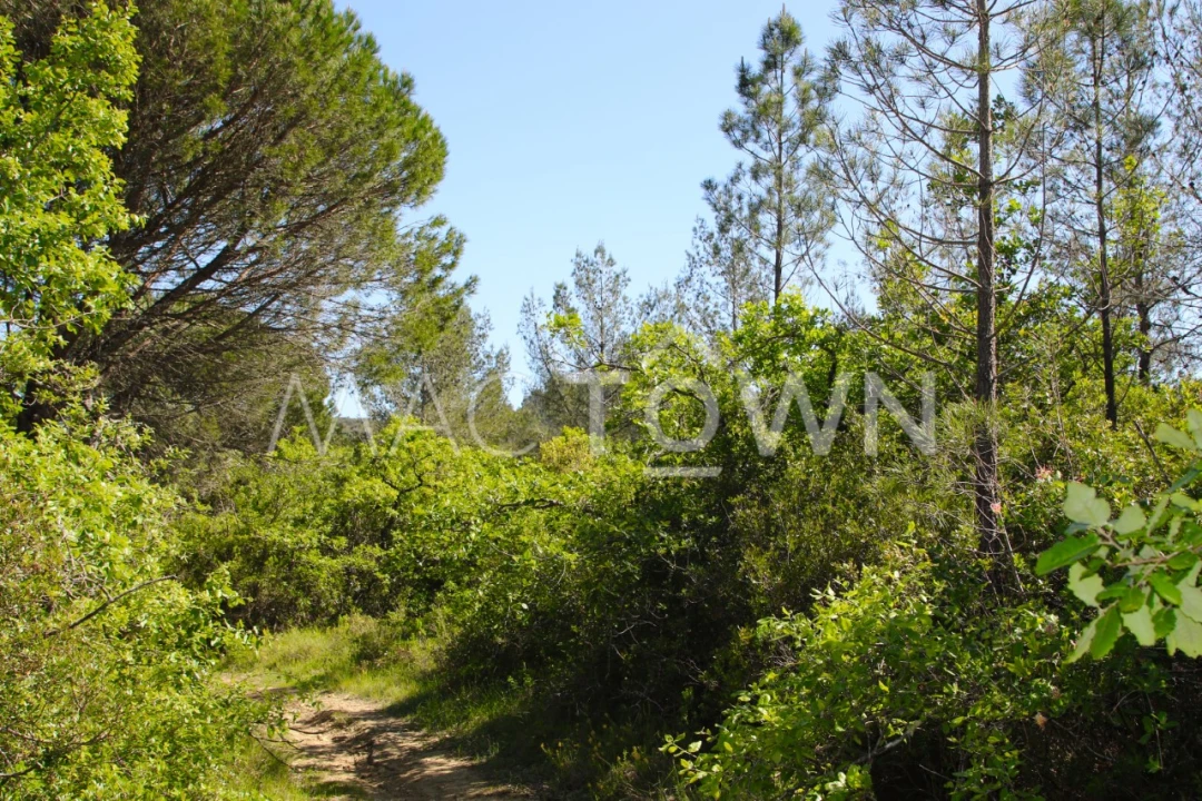 Terreno para Venda em Bucelas Foto 5