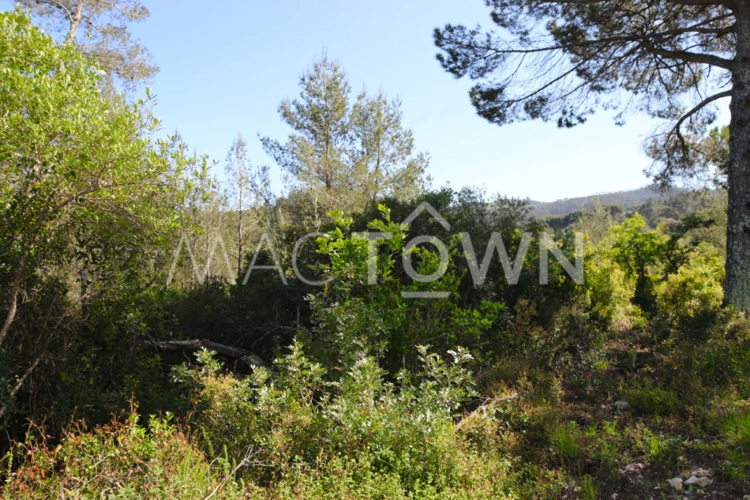 Terreno para Venda em Bucelas Foto 12