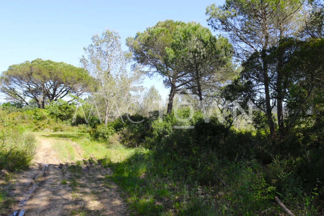 Terreno para Venda em Bucelas Foto 14