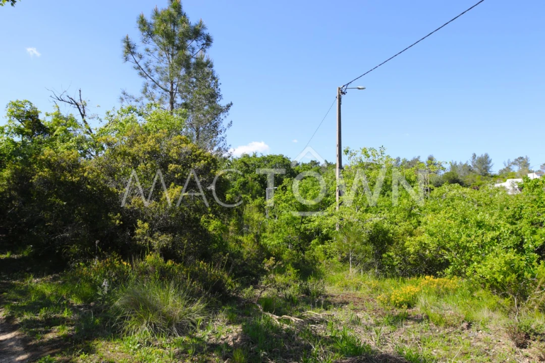 Terreno para Venda em Bucelas Foto 18