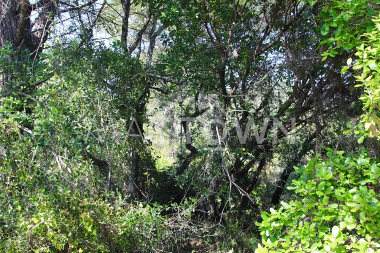 Terreno para Venda em Bucelas Foto 3