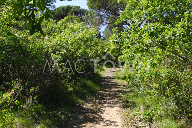 Terreno para Venda em Bucelas Foto 4