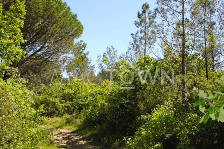 Terreno para Venda em Bucelas Foto 5