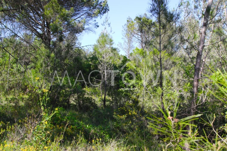 Terreno para Venda em Bucelas Foto 6