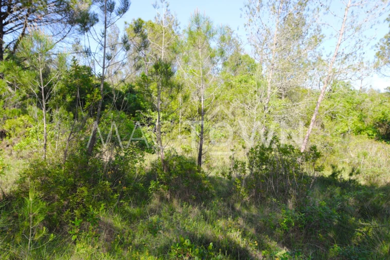 Terreno para Venda em Bucelas Foto 8
