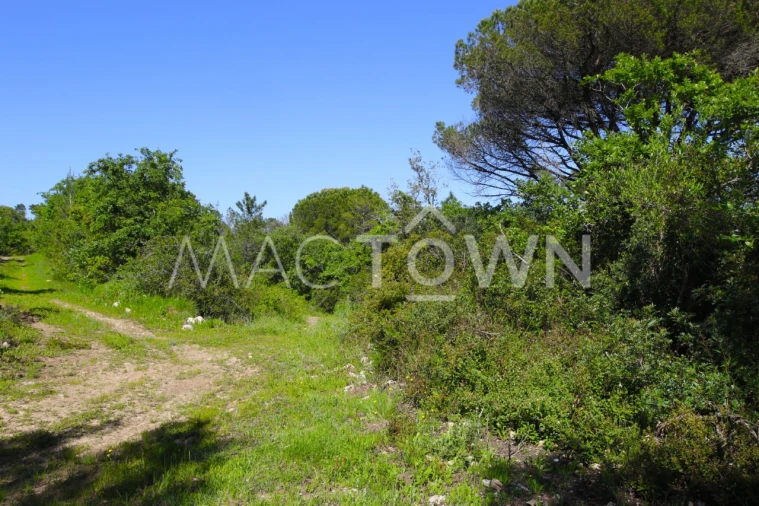Terreno para Venda em Bucelas Foto 9