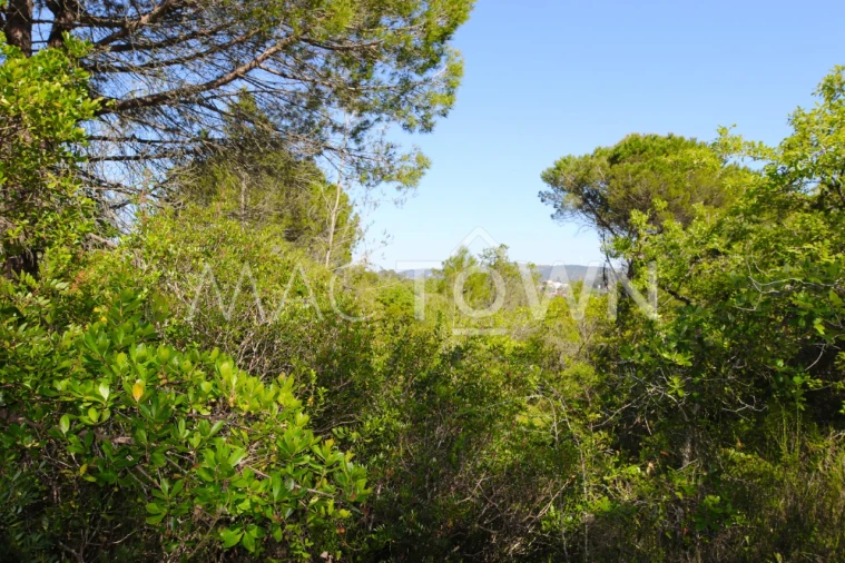 Terreno para Venda em Bucelas Foto 17