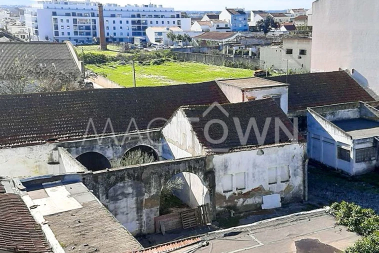 Terreno para Venda em Montijo e Afonsoeiro Foto 5