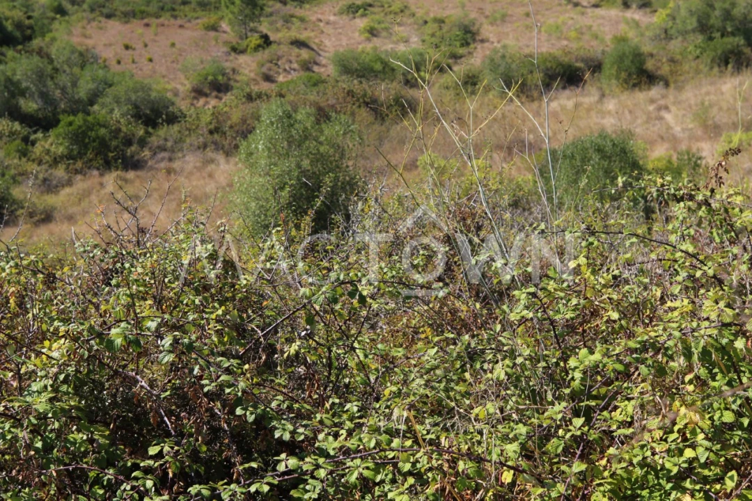 Terreno para Venda em Fanhões Foto 13