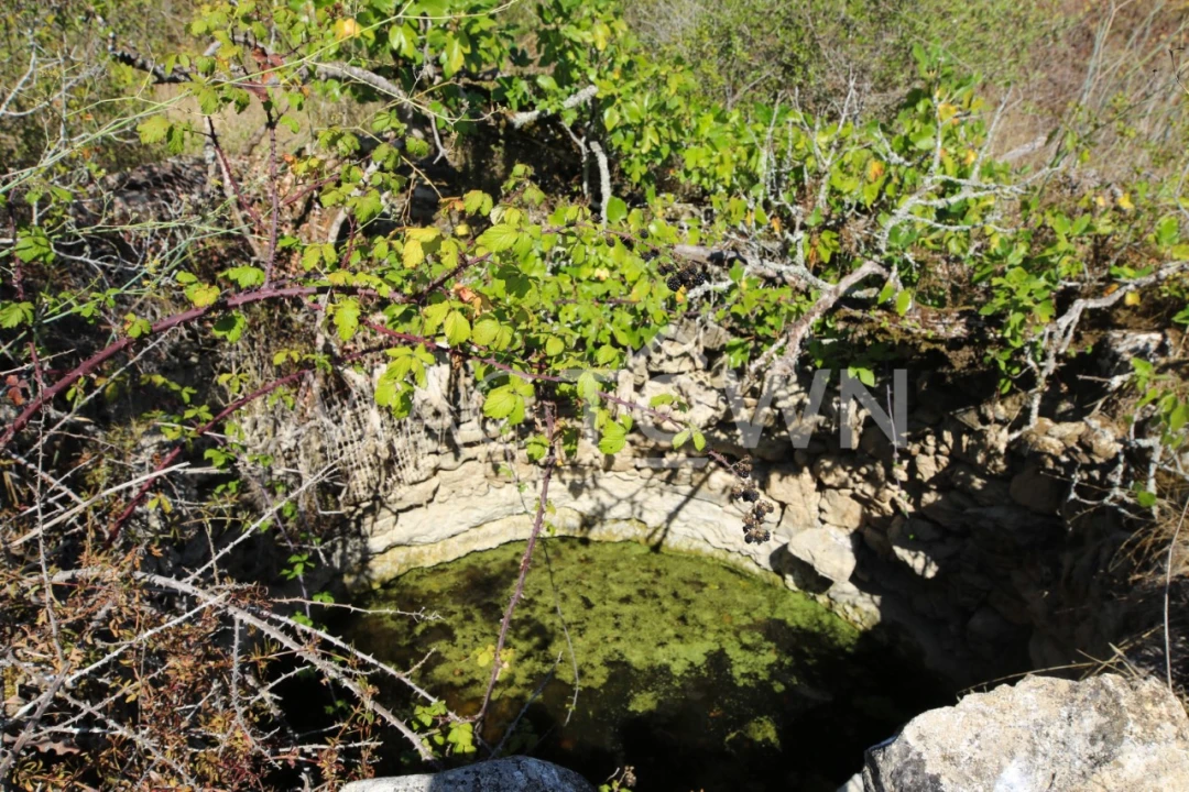 Terreno para Venda em Fanhões Foto 17