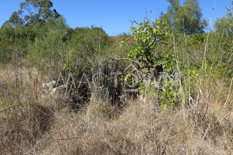 Terreno para Venda em Fanhões Foto 19
